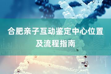 合肥亲子互动鉴定中心位置及流程指南