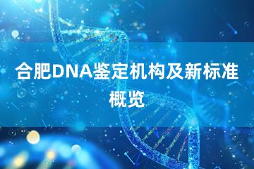 合肥DNA鉴定机构及新标准概览