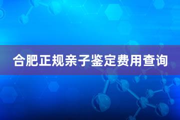 合肥正规亲子鉴定费用查询