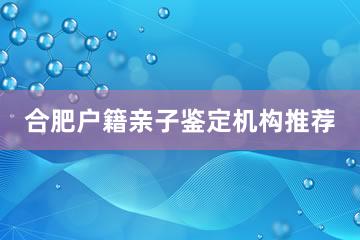 合肥户籍亲子鉴定机构推荐