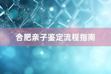 合肥亲子鉴定流程指南