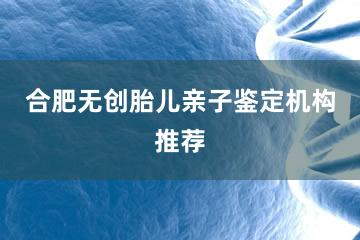 合肥无创胎儿亲子鉴定机构推荐