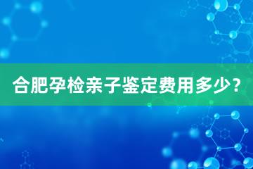 合肥孕检亲子鉴定费用多少？